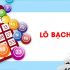 Soi câu lô bạch thủ